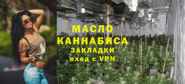 индика Нягань