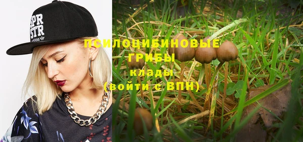 мдпв Няндома