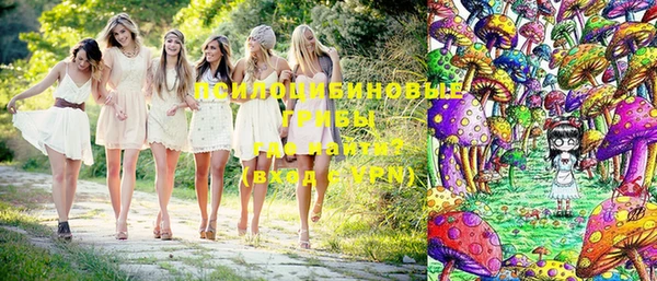 шишки Нязепетровск