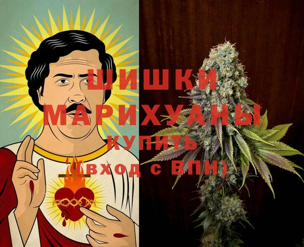 сатива Осинники