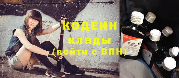 сатива Осинники