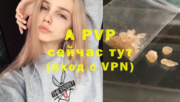 сатива Осинники