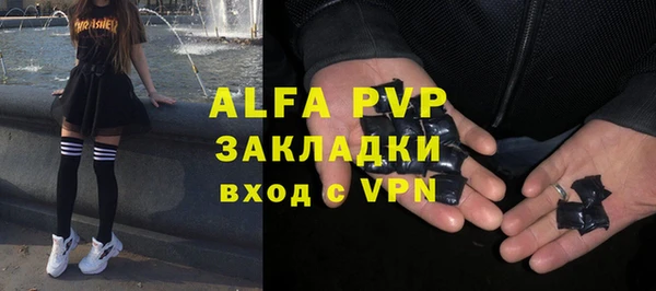 шишки Нязепетровск