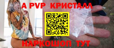 гашик Камышлов