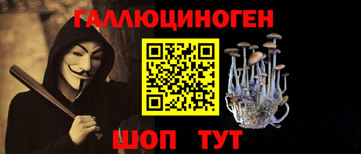 Псилоцибиновые грибы Psilocybe  Галлюциногенные грибы прущие грибы  Уфа 