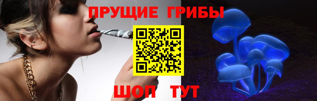 Псилоцибиновые грибы Cubensis Уфа